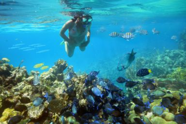 Snorkelling in Jamaica